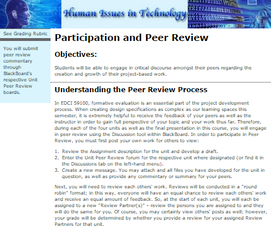 Example of participation and peer review process description in course