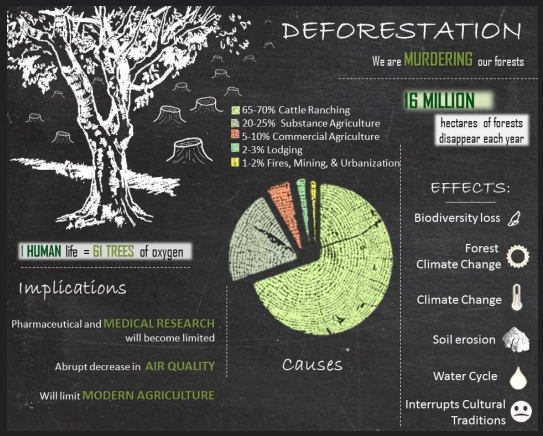 What are the effects of deforestation in the ? - Internet