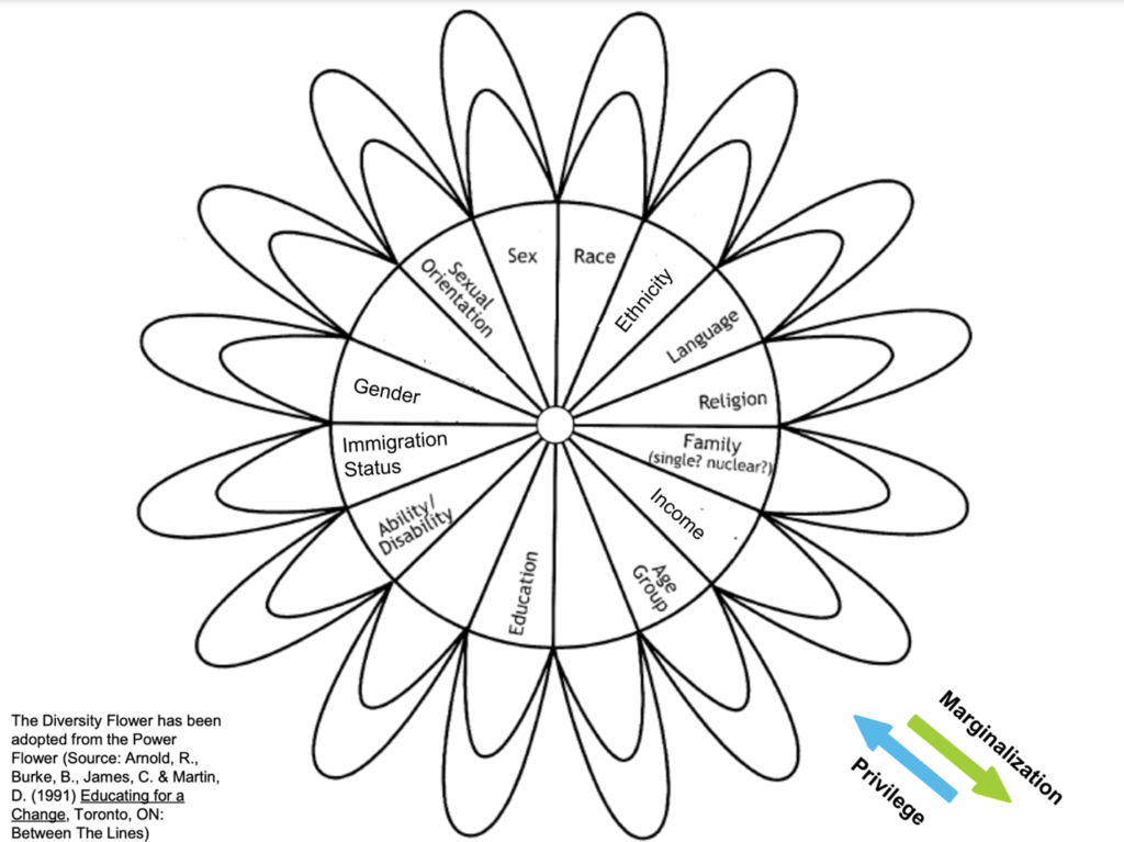 Power Flower, which looks like a daisy with 16 segments representing different aspects of social identity